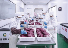 <b>被加工成调味鸡排等半成品预制菜</b>