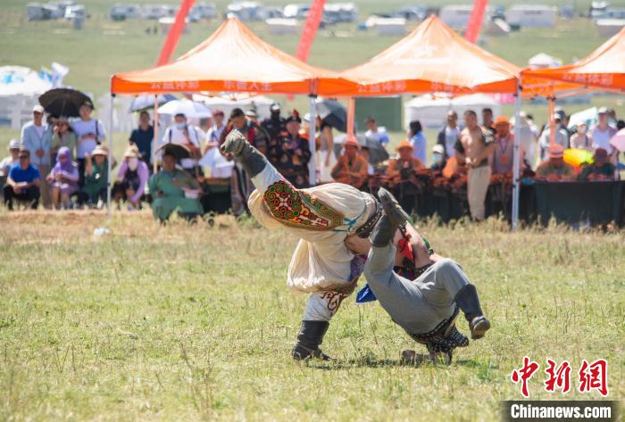 内蒙古第33届旅游那达慕成人搏克赛吸引512名选手