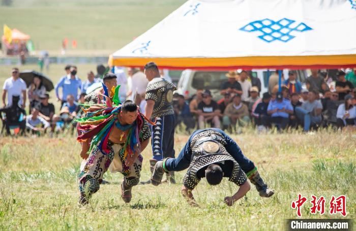 内蒙古第33届旅游那达慕成人搏克赛吸引512名选手