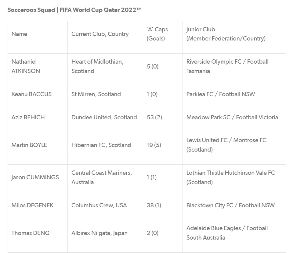 澳大利亚公布世界杯26人名单 战法国丹麦突尼斯